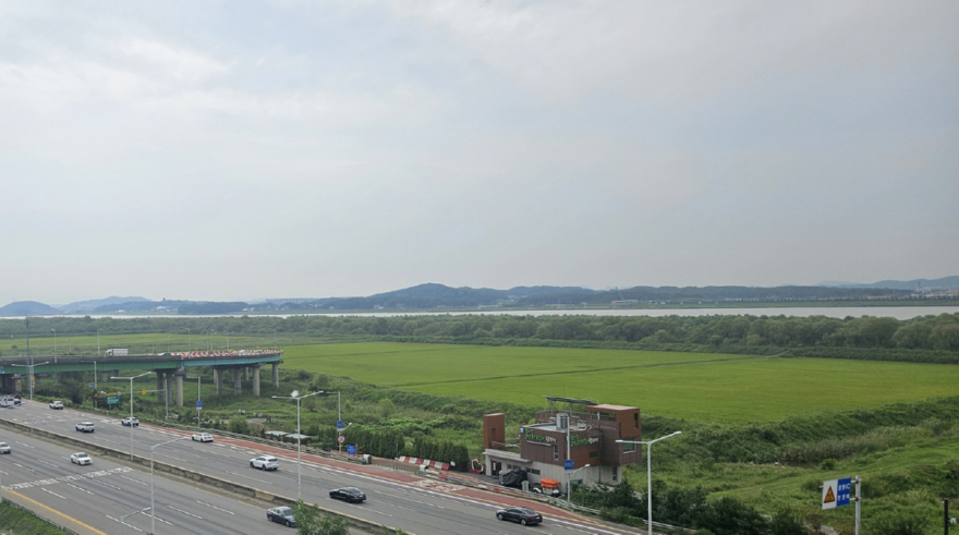 2. 고양시, 장항습지 선버들 활용 양봉 시범사업 추진 (2).jpg