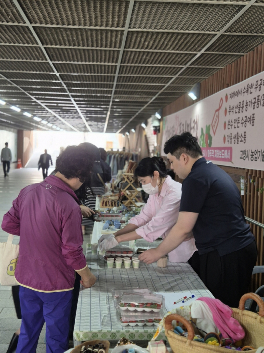 1-8. 마두 지하보도에 조성된 스마트팜 딸기 수확 기념 행사.jpg