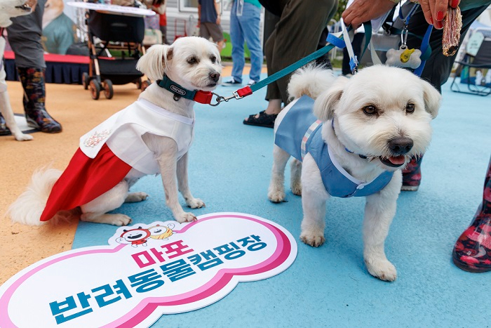 (왼쪽) 한복 패션쇼에 참석한 반려견.jpg