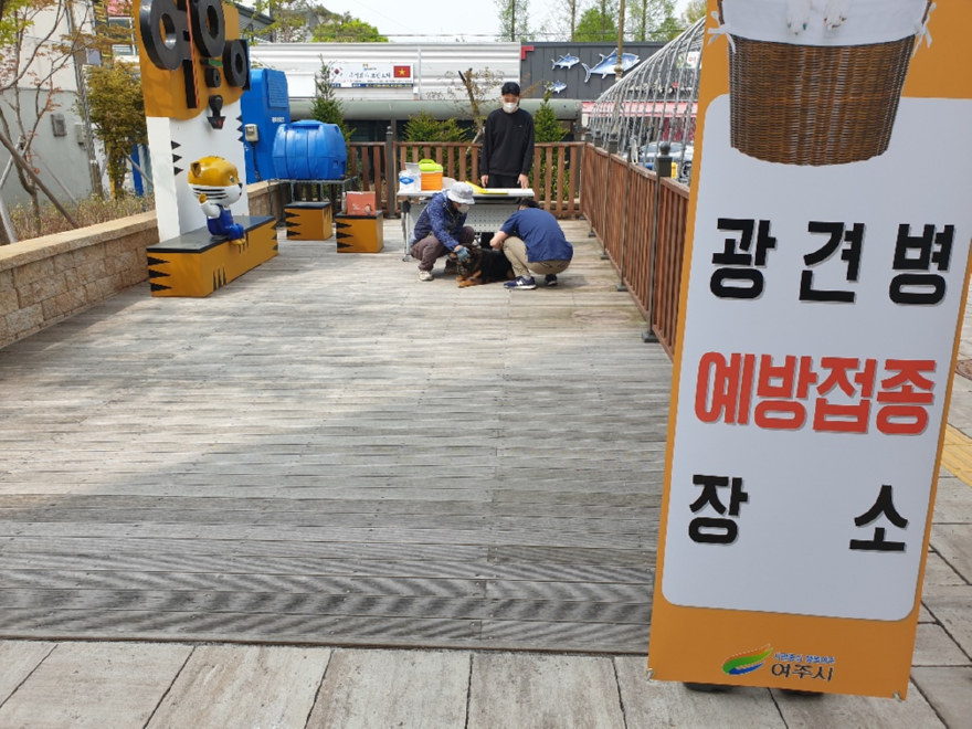 04-26년 춘계 광견병 백신 무료접종 실시(2).jpg