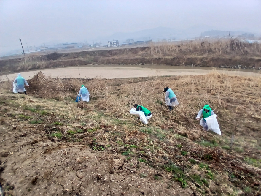 9 율면새마을협의회 국토대청소운동 실시 깨끗한 마을만들기 실천2.jpg