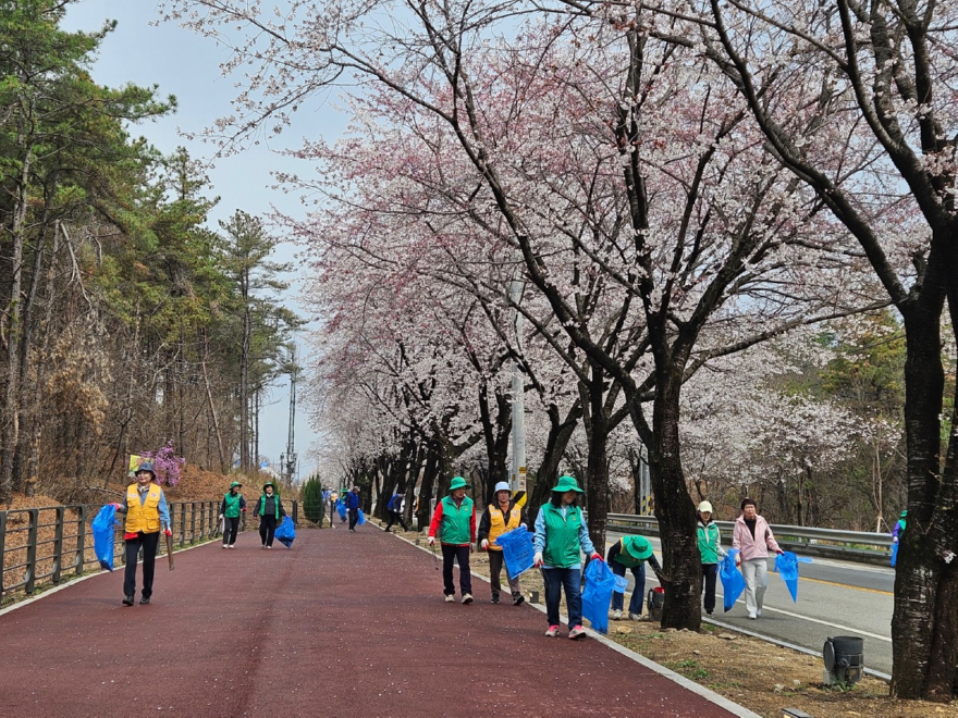 지역01-흥천면, 벚꽃축제 맞이 환경정화 활동 실시(2).JPEG