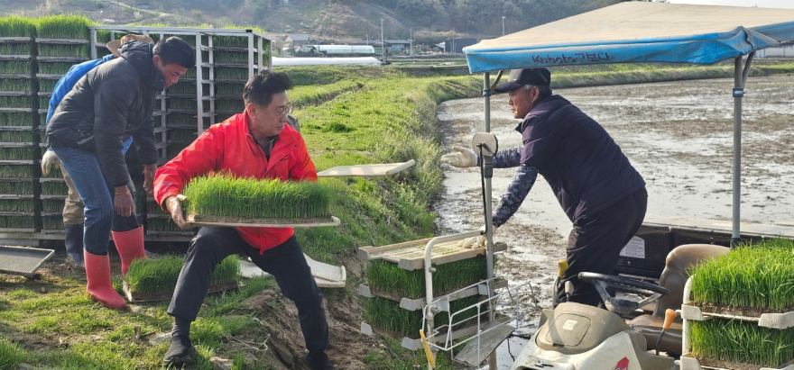 02-2 첫 모내기 실시.jpg