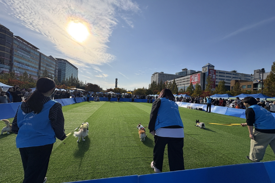 1. 고양시, ‘동물교감치유’ 도시로 (8) 반려견 달리기 대회.jpg