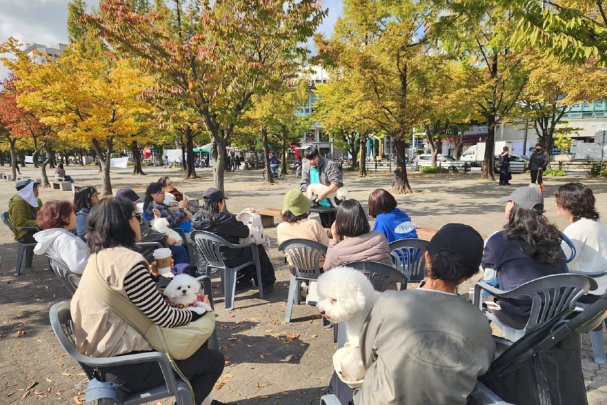 1. 고양시, ‘동물교감치유’ 도시로 (9) 반려동물 미용교실.jpg