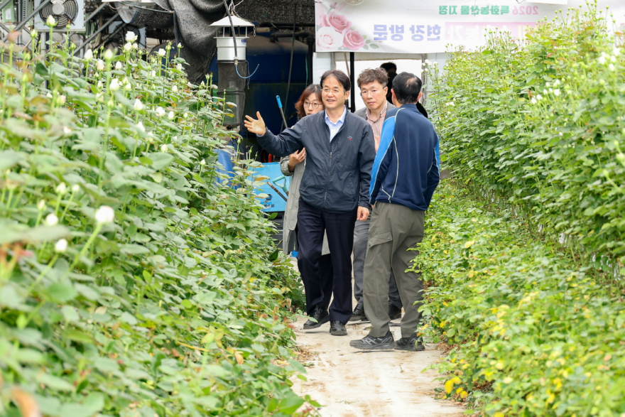 1. 고양시, 고품질 장미 재배 농가 방문…화훼 산업 경쟁력 확인 (1).jpg