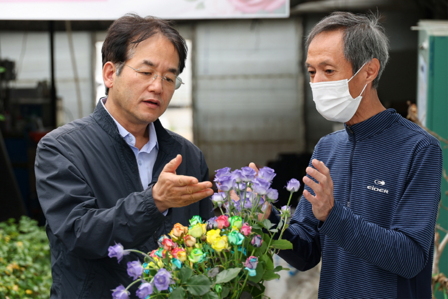 1. 고양시, 고품질 장미 재배 농가 방문…화훼 산업 경쟁력 확인 (4).jpg