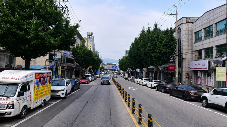04-1 시민로 은행나무 가로수 제거사업.png