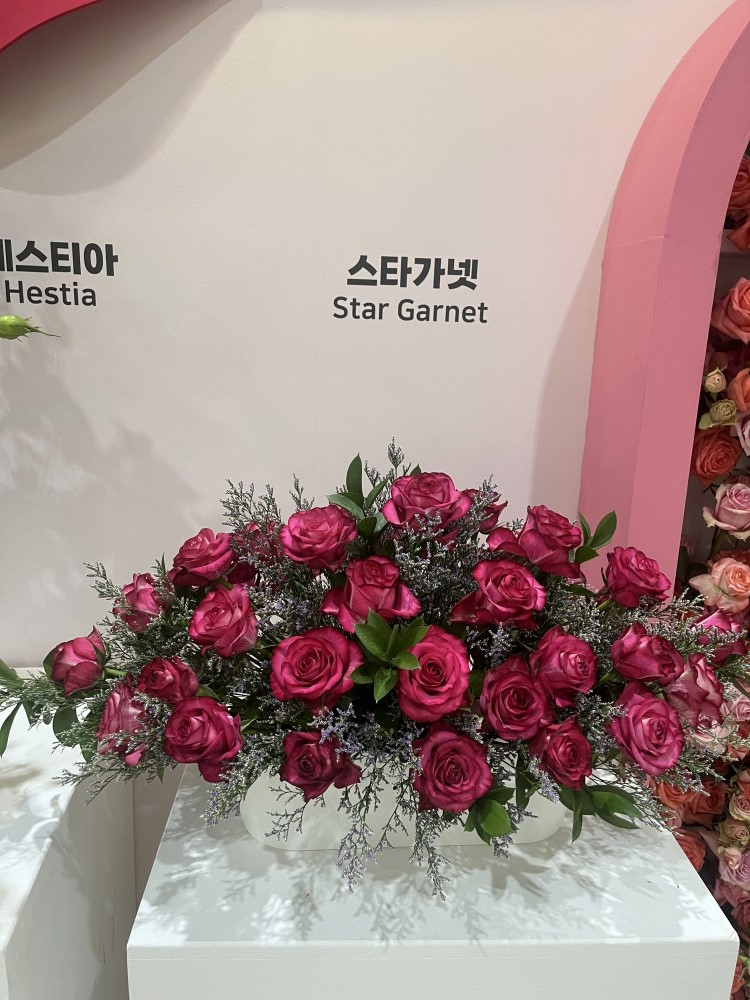(직속기관)2.고양시, 2026고양꽃박람회서 육성 장미‘스타가넷’대통령상 수상(2).jpg