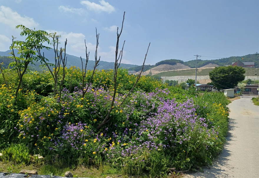 지역02-북내면, ‘깨끗하고 밝은 여주 만들기’에 앞장(2).jpg