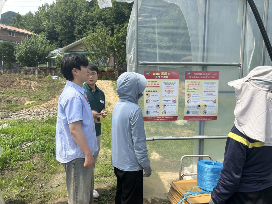 05-2 외국인 계절근로자 폭염 대응 현장점검.jpg