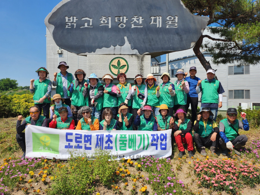 5 새마을 대월면남녀협의회 도로변 풀베기 실시.jpg
