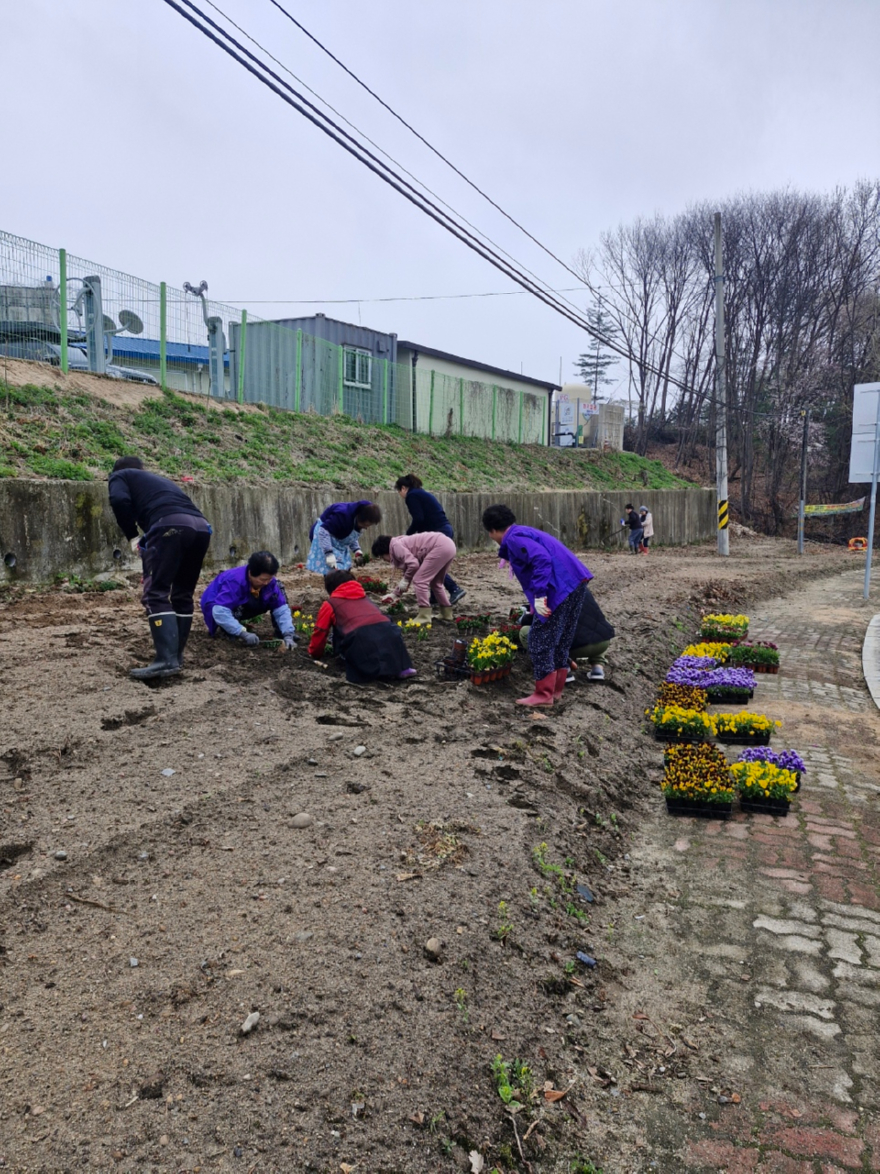 지역02-대신면 천남1리, 주민 주도로 깨끗하고 안전한 명품마을 완성(1).jpeg