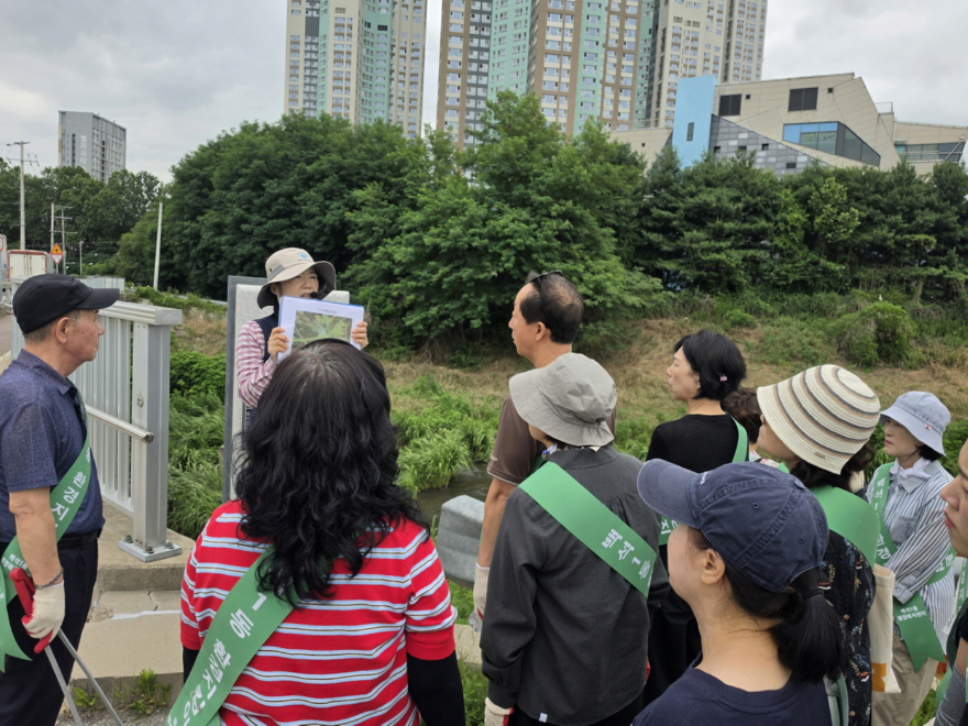 (구와동)4,고양시 백석1동, 도촌천 일원서 외래식물 제거 및 플로깅 활동 실시.jpg