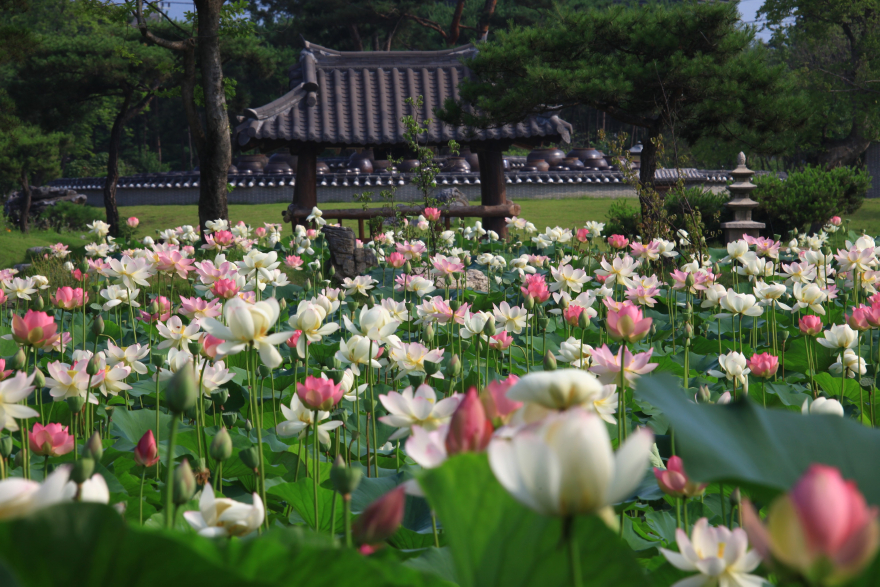 05-2 제14회 경기정원문화박람회 프리뷰행사.JPG