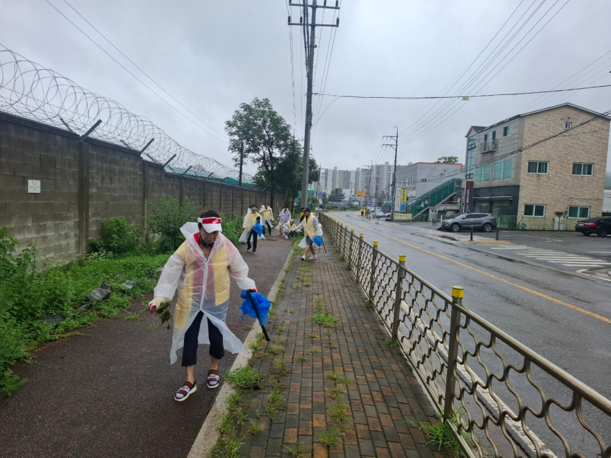 광주시 탄벌동, 7월 클린데이 실시…주민 60여 명 환경정화 활동 참여 (1).jpg