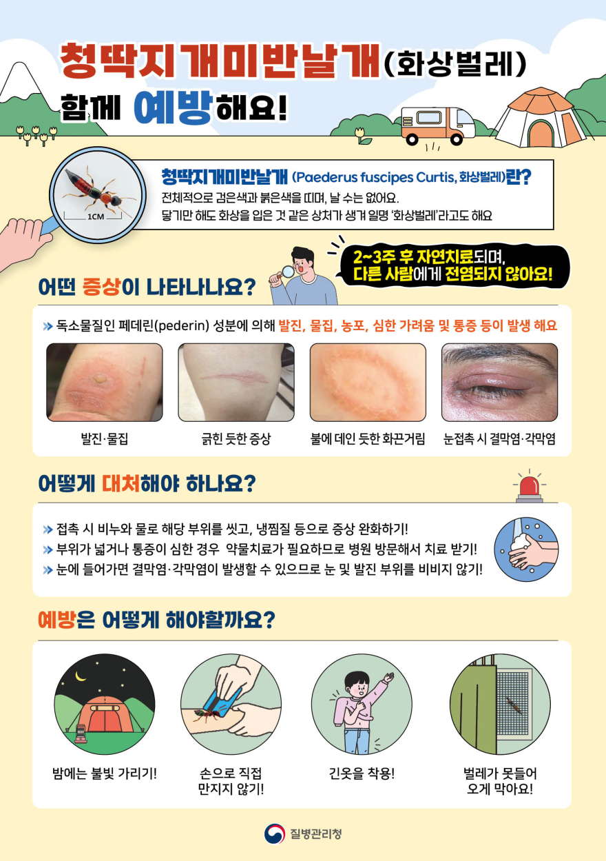 05 질병관리청 화상벌레 홍보자료 .jpg