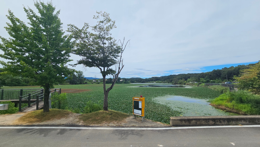 KakaoTalk_20260810_084045841.jpg2.jpg