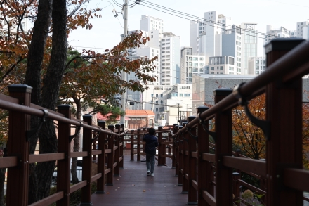 모두를 위한 공원, 마포구 독막소공원에서 함께 걷고 누려요