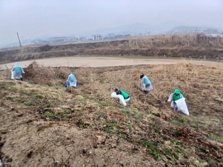율면새마을협의회, 국토대청소운동 실시… 깨끗한 마을만들기 실천