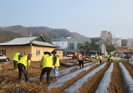 청운면 지역사회보장협의체, ‘사랑의 텃밭 가꾸기’ 사업 본격 추진