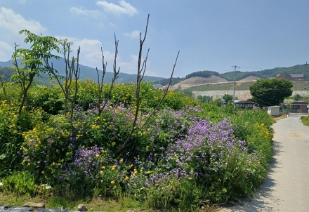 북내면, ‘깨끗하고 밝은 여주 만들기’에 앞장
