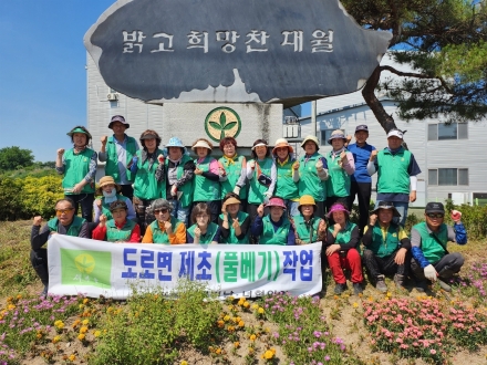 새마을 대월면남녀협의회 도로변 풀베기 실시