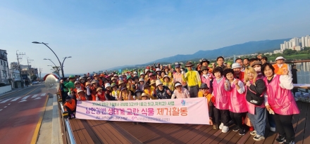 양평군, 민관 협력으로 생태계 교란식물 생육 초기에 제거… 건강한 생태환경 조성