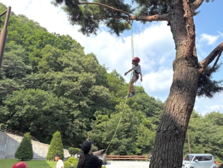양평군가족센터, 취약·위기가족 자녀 대상 숲 체험·목공 프로그램 운영