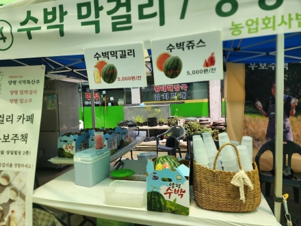 양평군, 수박축제서 다회용기 6만 개 사용… 친환경 축제 운영 역량 입증