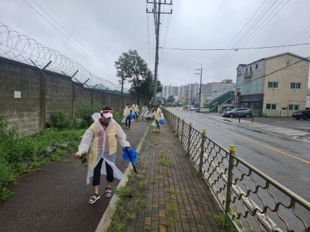 광주시 탄벌동, 7월 클린데이 실시…주민 60여 명 환경정화 활동 참여
