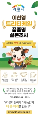이천시, 트리티케일 예비 신품종 이름을 시민과 함께 정한다