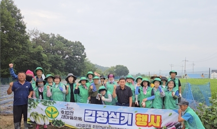 새마을호법면협의회, 「사랑의 김장나눔」 위한 배추 모종 심기 나서