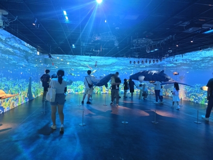 홍천미술관 《UNDER THE SEA : 바다 속으로》 관람객 2만 명 돌파