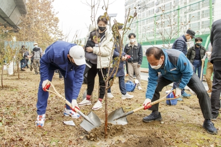 마포에서 가족의 소중한 순간과 이야기를 나무 한 그루에 담아보세요